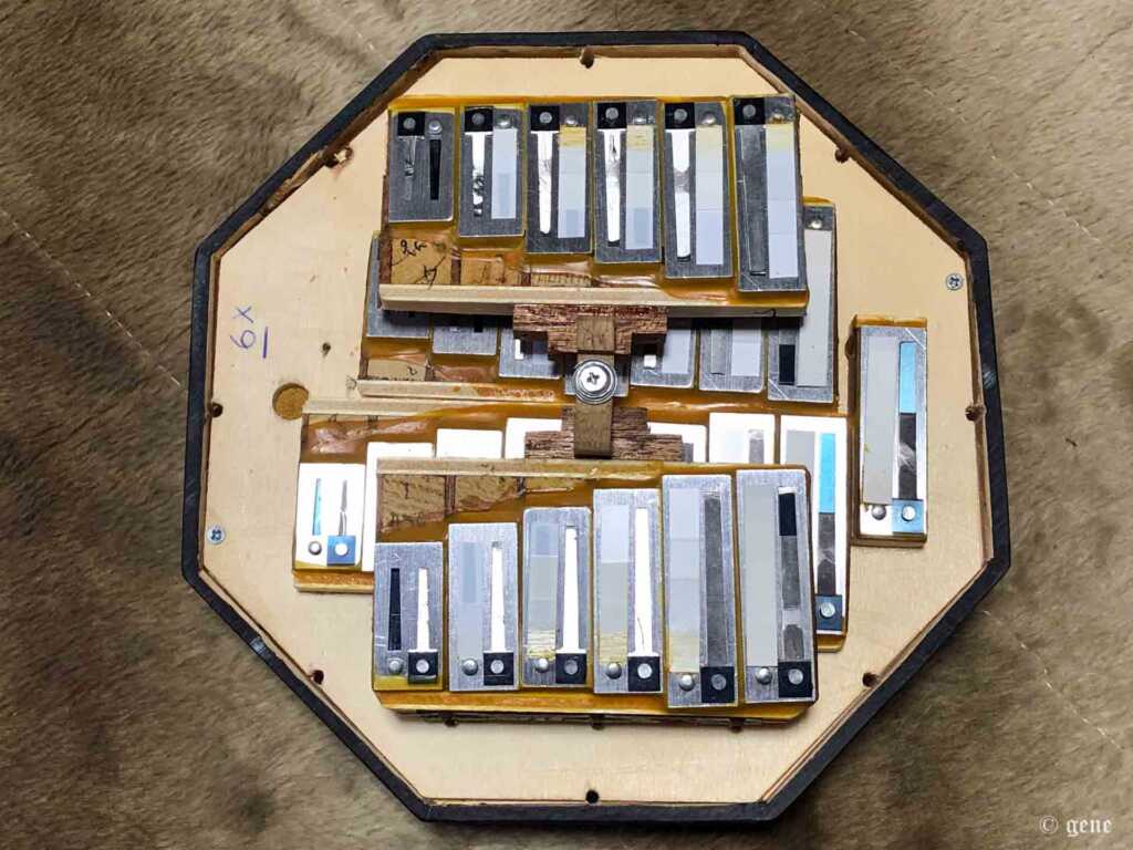 Bastari / Stagi（バスタリ・スタジー）イングリッシュ・コンサーティーナ 56ボタン Tenor Treble(テナー・トレブル)　リード部　右