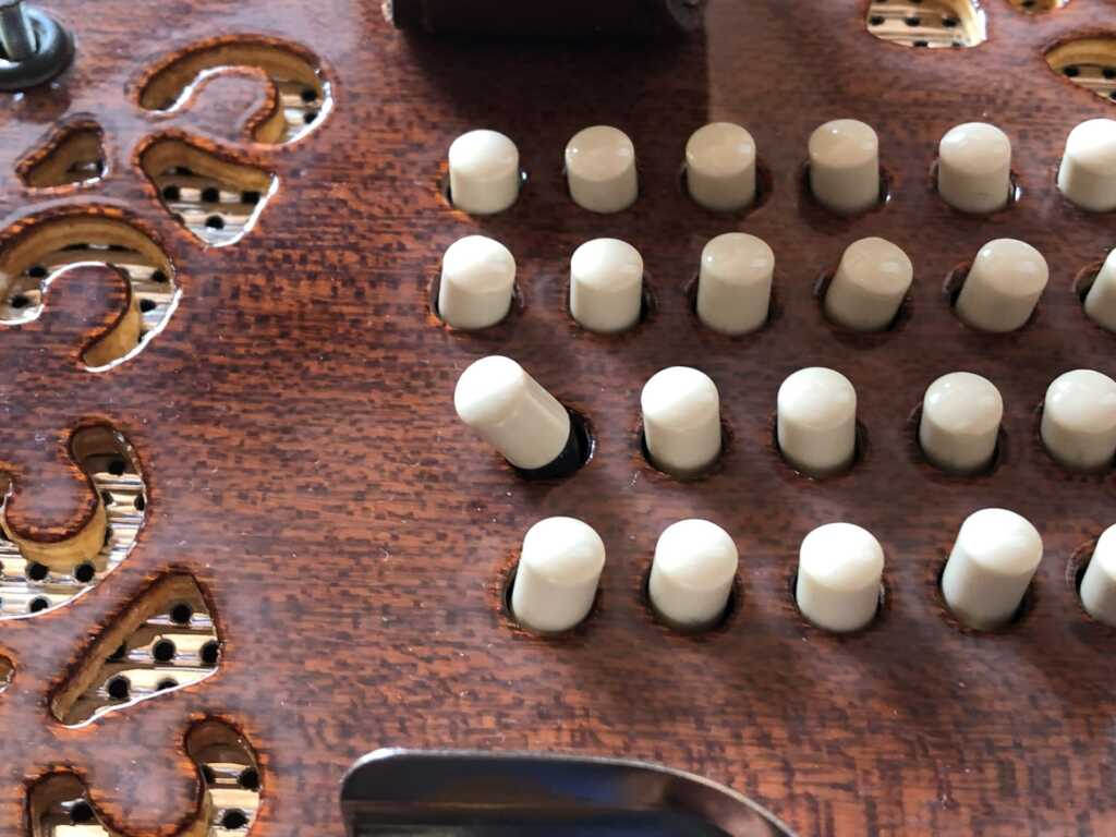 Bastari / Stagi 48ボタン イングリッシュ・コンサーティーナ Tenor;テナー ボタンが飛び出た