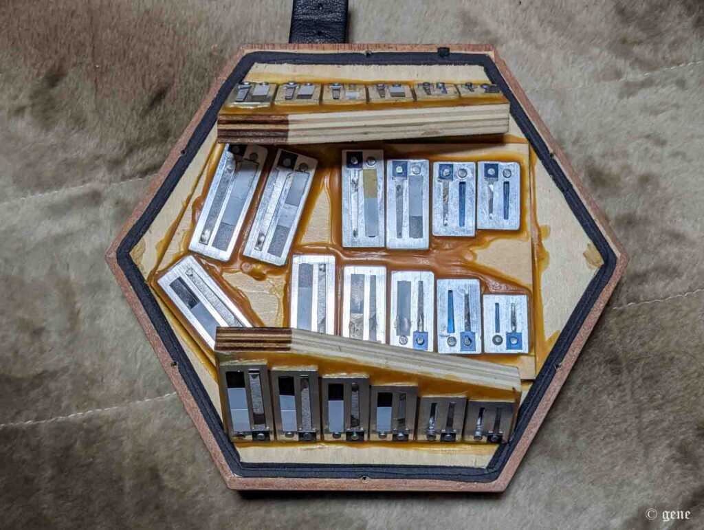 PLAYTECH(プレイテック)イングリッシュ・コンサーティーナ 48ボタン Treble(ソプラノ) PCT300