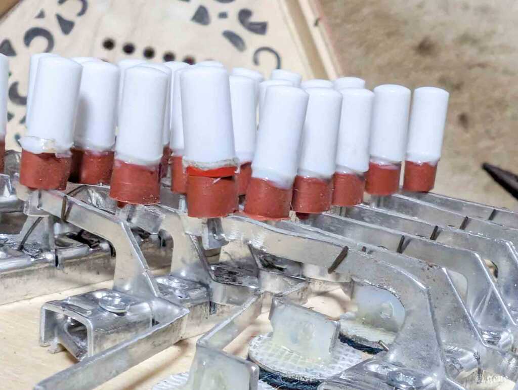 PLAYTECH(プレイテック)イングリッシュ・コンサーティーナ 48ボタン Treble(ソプラノ) PCT300