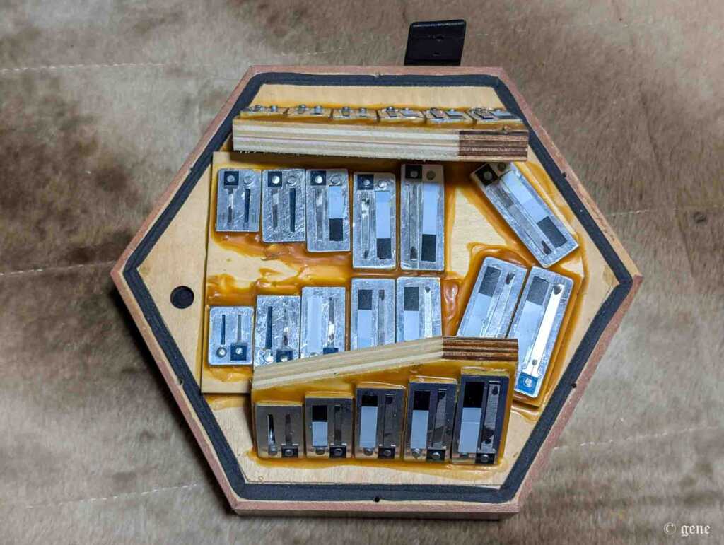 PLAYTECH(プレイテック)イングリッシュ・コンサーティーナ 48ボタン Treble(ソプラノ) PCT300